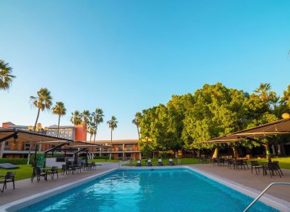 Resort pool with lounge chairs and palm trees