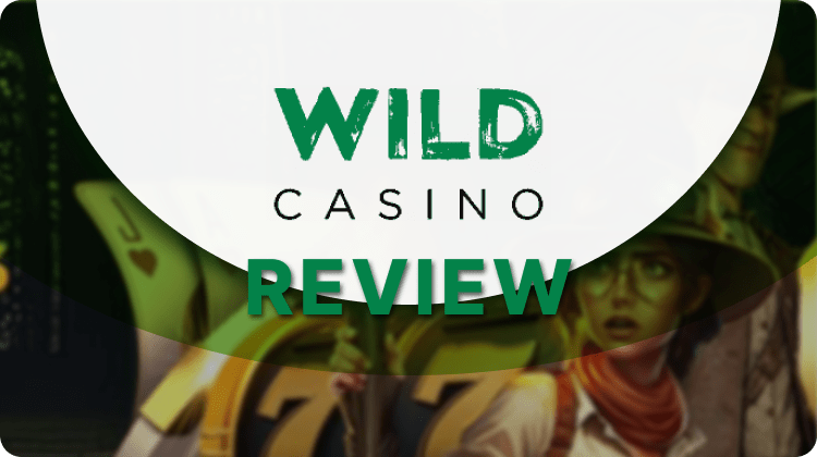 Wild Casino review banner with slot imagery