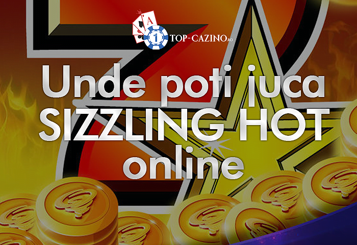 Sizzling Hot online casino banner with coins
