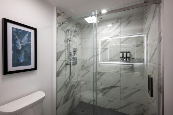 Modern marble-tiled glass shower with toilet